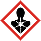 Gefahrenpiktogramm
