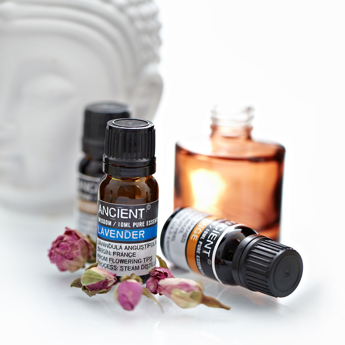 Lavendel ätherisches Öl – 10 ml