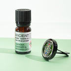 Traffic Jam – Für Ruhe & Gelassenheit – Ätherische Ölmischung fürs Auto, 10 ml