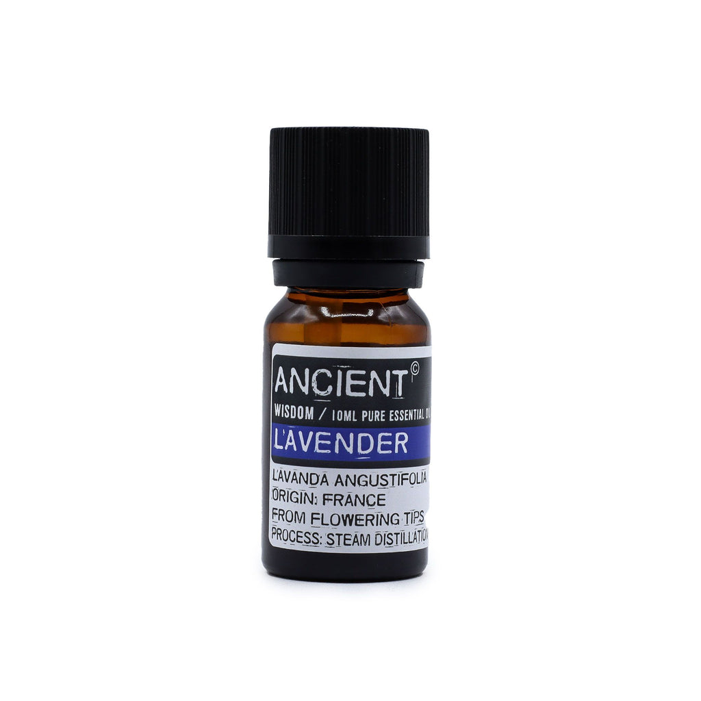 Lavendel ätherisches Öl – 10 ml