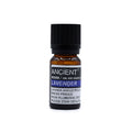 Lavendel ätherisches Öl – 10 ml