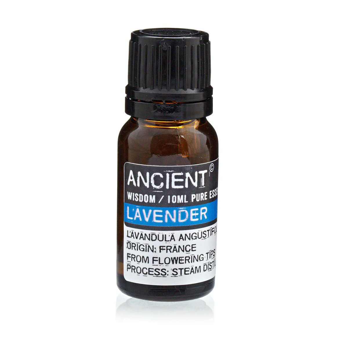 Lavendel ätherisches Öl – 10 ml