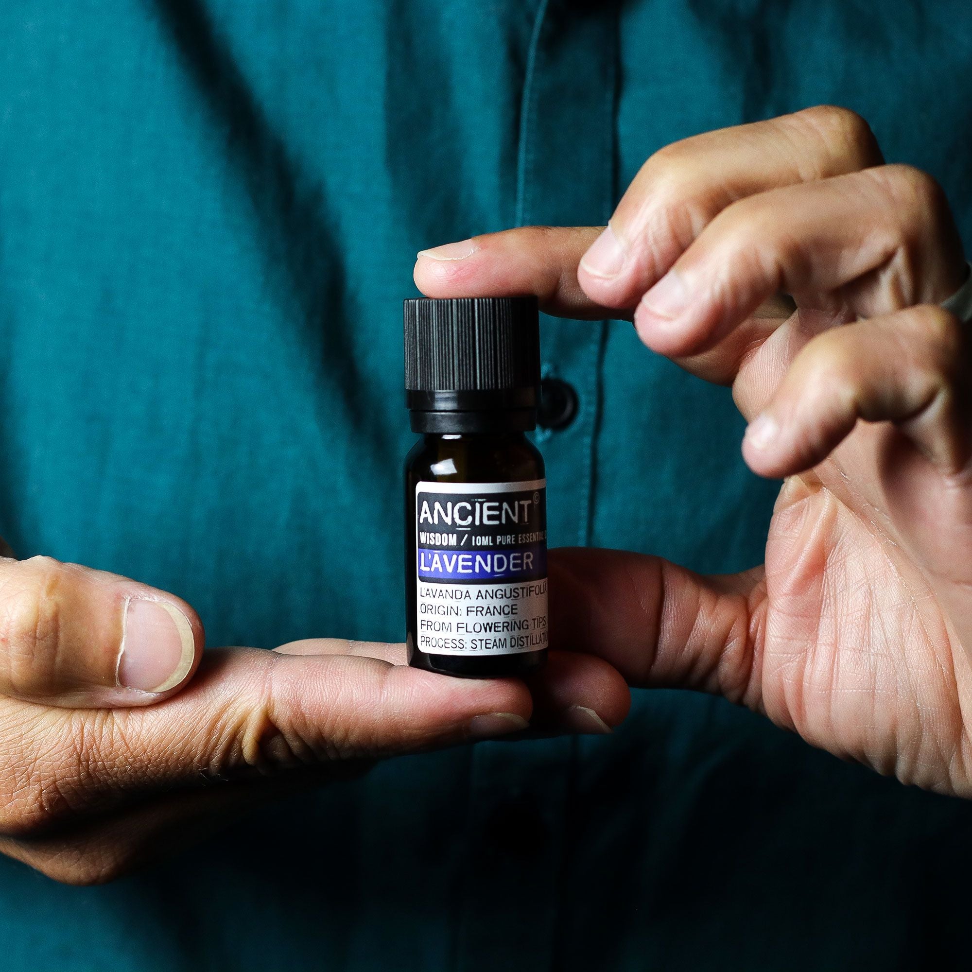 Lavendel ätherisches Öl – 10 ml