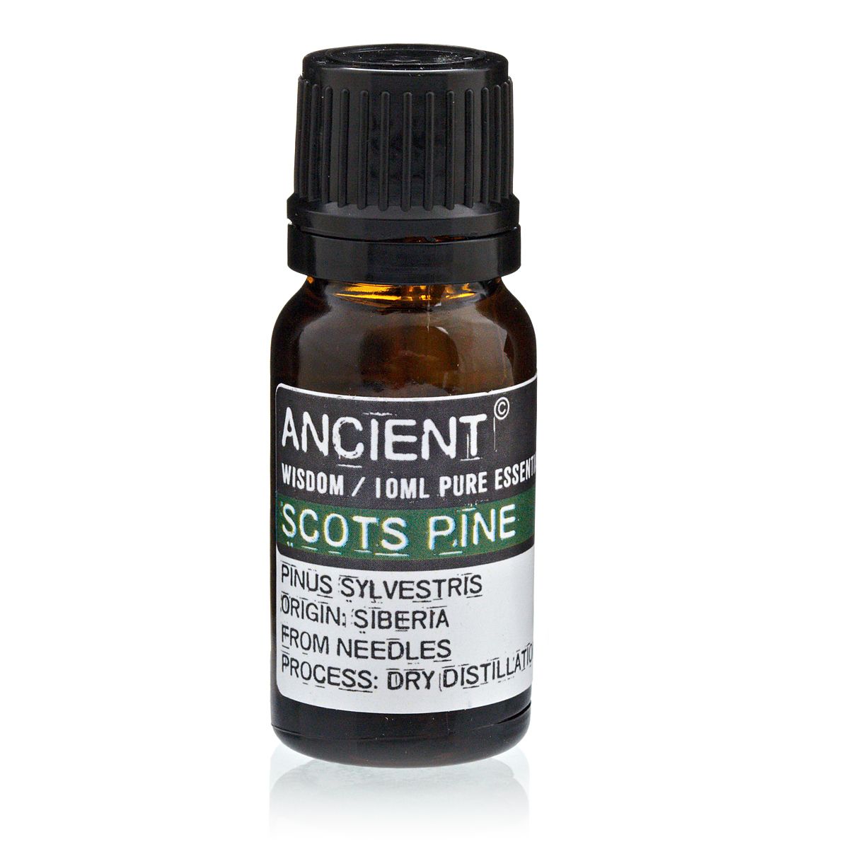 Kiefer ätherisches Öl – 10 ml