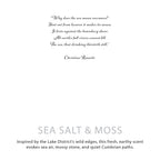 Agnes + Cat Duftkerze „Sea Salt & Moss“ - Meersalz & Moos