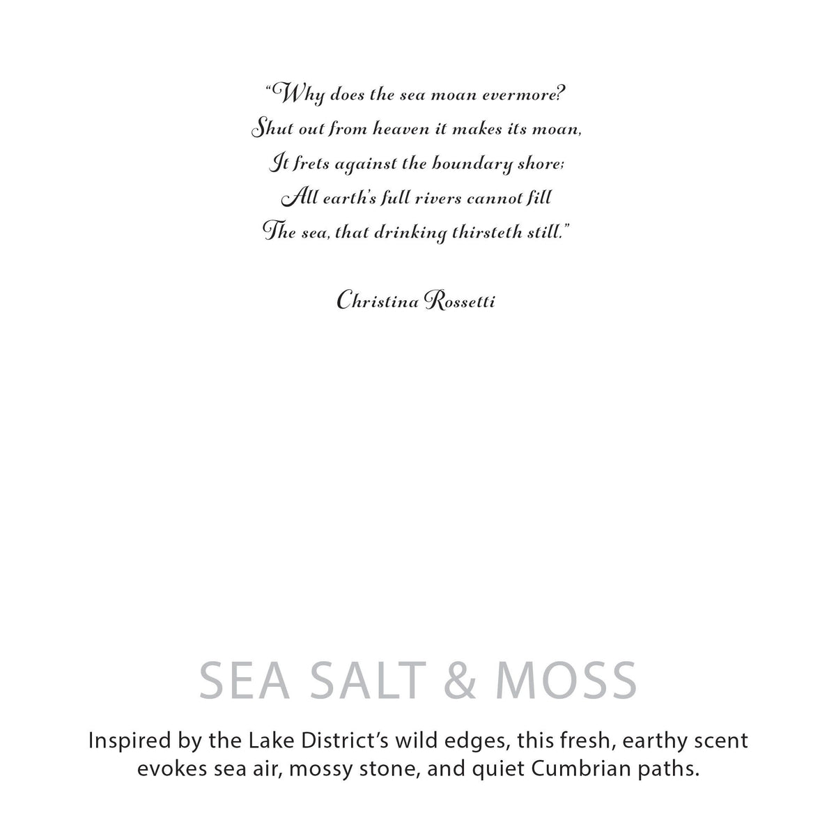 Agnes + Cat Duftkerze „Sea Salt & Moss“ - Meersalz & Moos