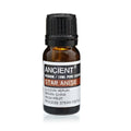 Sternanis ätherisches Öl – 10 ml