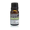 Eukalyptus ätherisches Öl – 10 ml
