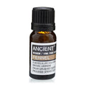 Fenchel ätherisches Öl – 10 ml