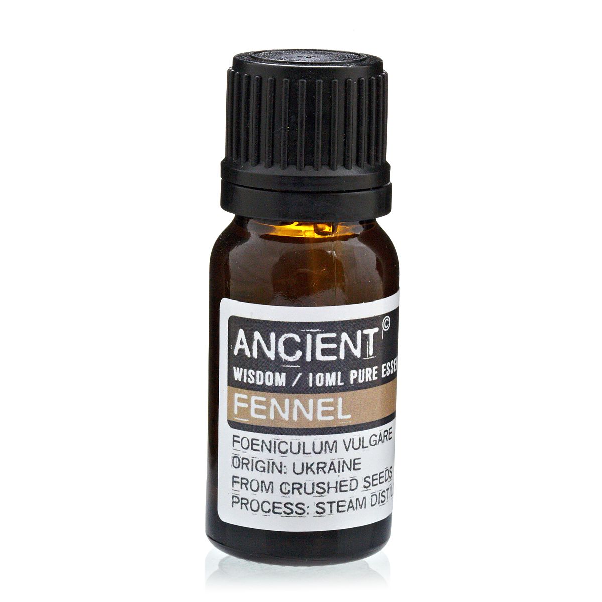 Fenchel ätherisches Öl – 10 ml