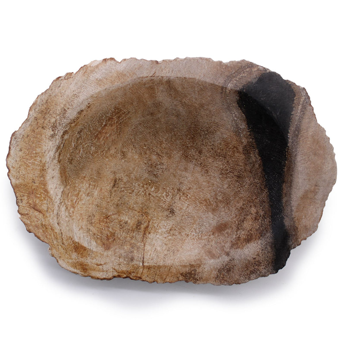 Seifenschale aus versteinertem Holz – Schwarz-Braun & Naturrand