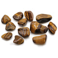 Tigerauge - Gold - 12 mittlere afrikanische Trommelsteine