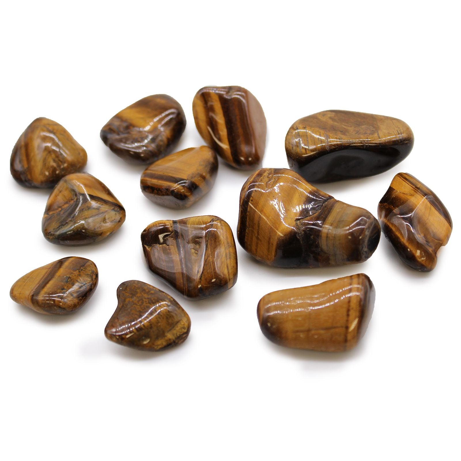 Tigerauge - Gold - 12 mittlere afrikanische Trommelsteine