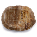 Seifenschale aus versteinertem Holz – warme Brauntöne & Naturrand