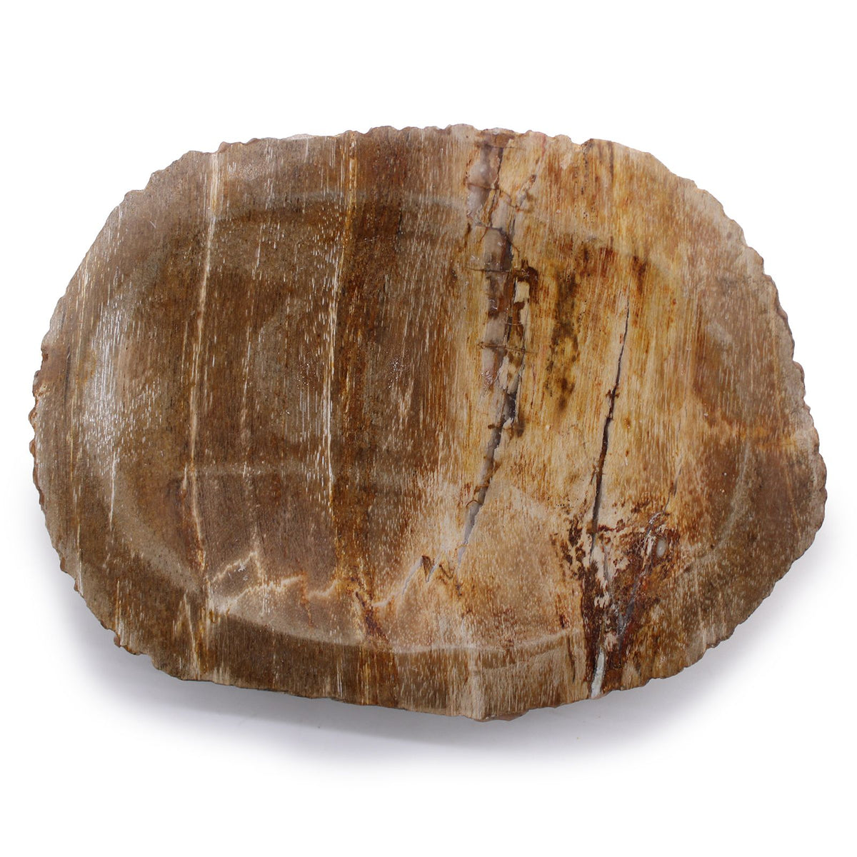 Seifenschale aus versteinertem Holz – warme Brauntöne & Naturrand